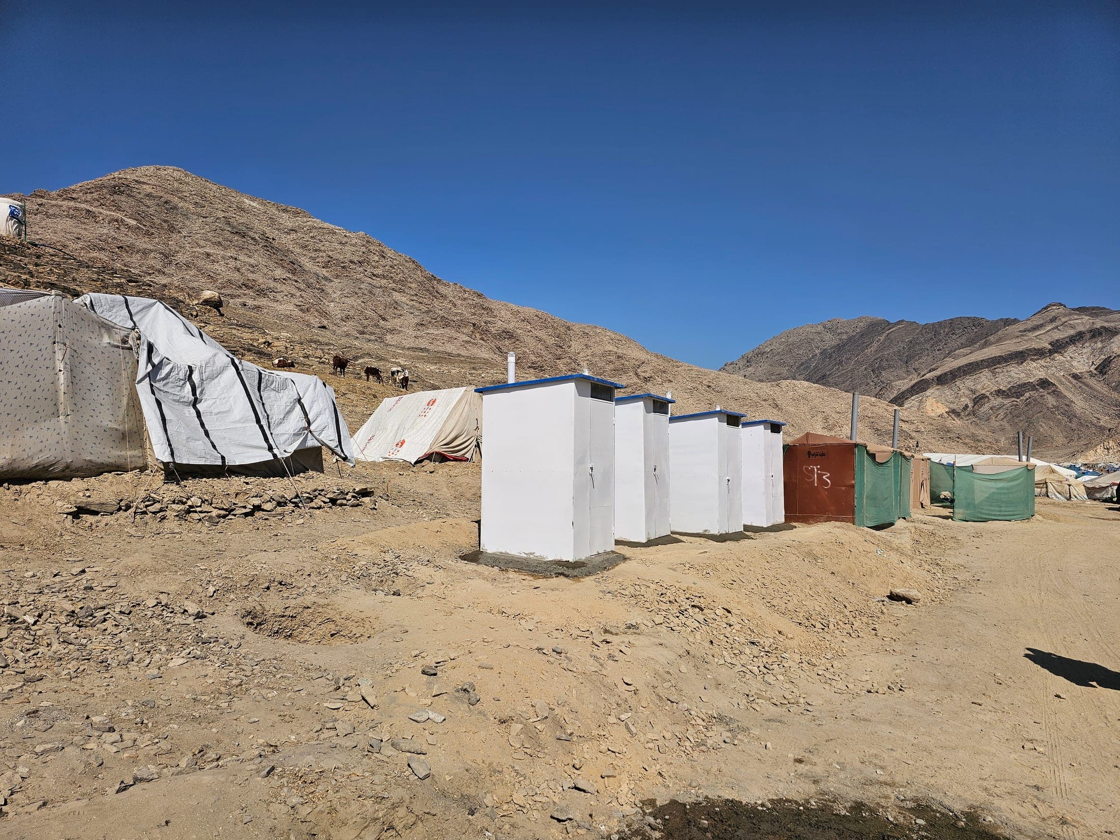 Afghanistan Earthquake Emergency Response: photo 4